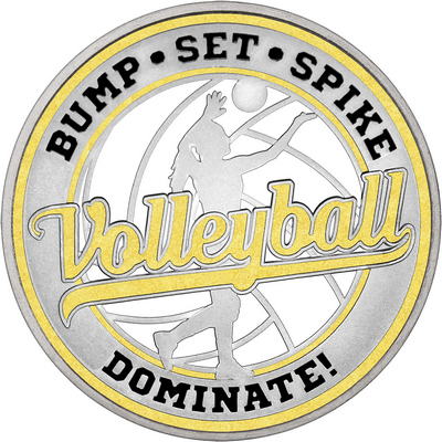 Gold "Volleyball" with Gold Outer Circular Borders